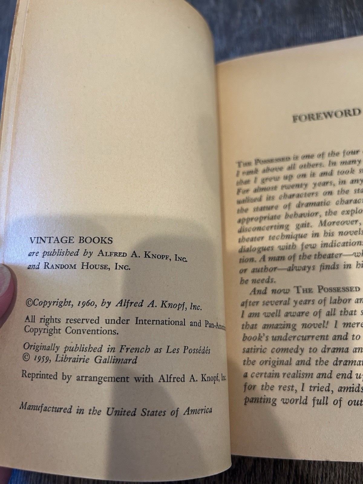 The Possessed (Albert Camus)