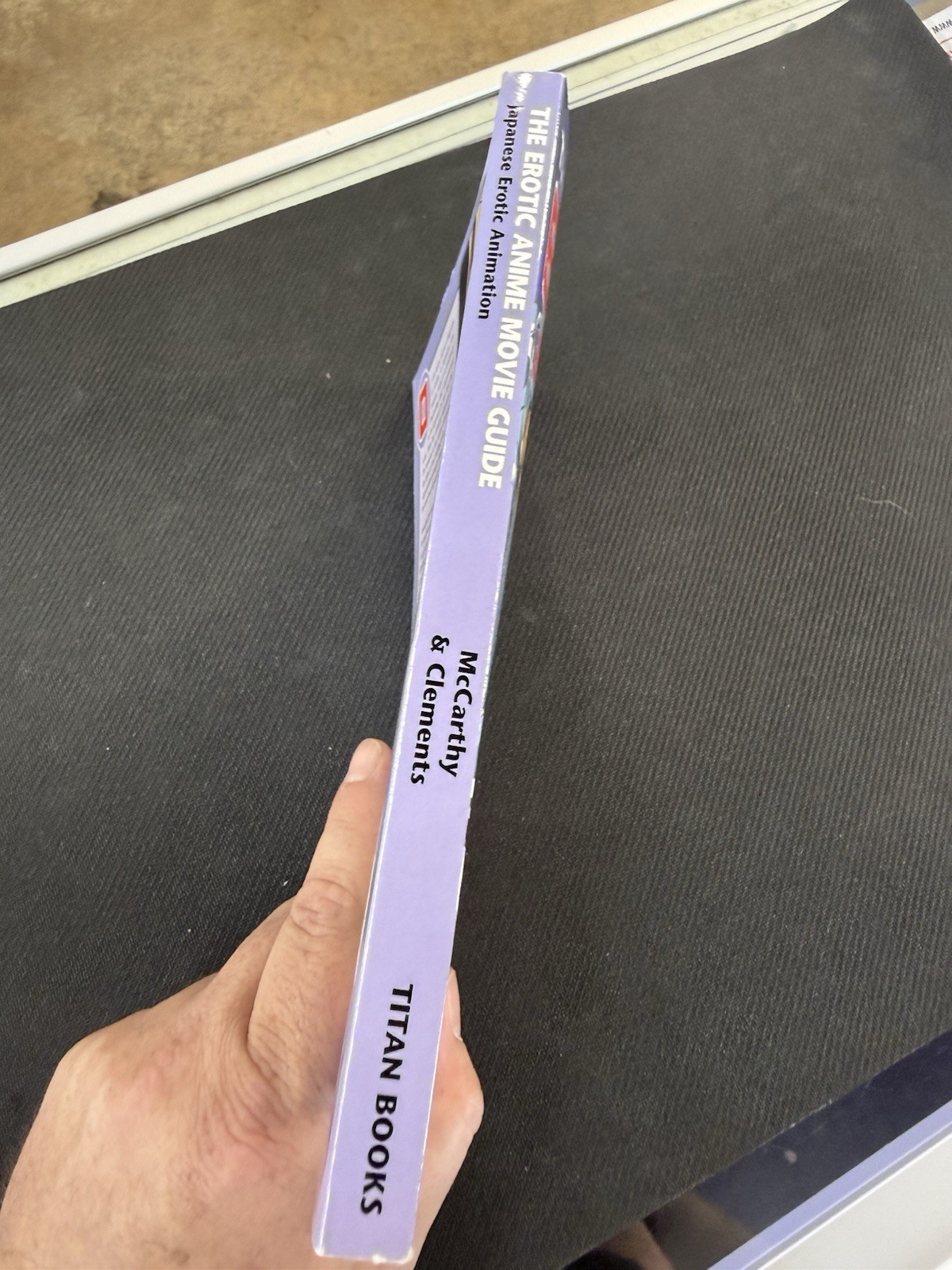 The Erotic Anime Movie Guide 1st Edition 1998