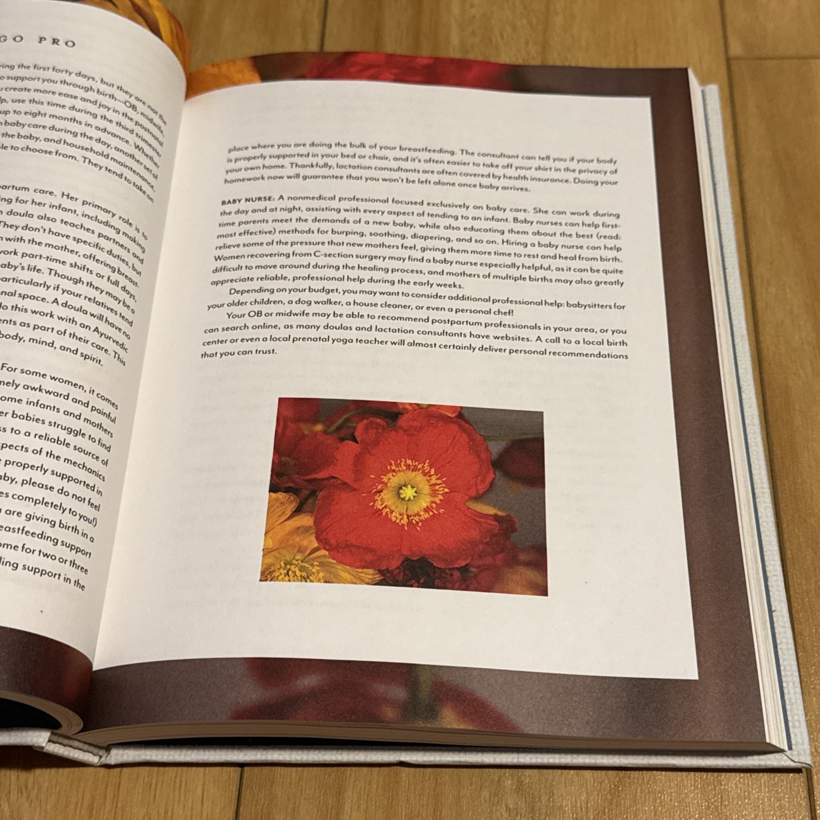 The First Forty Days: The Essential Art of Nourishing the New Mother By Heng Ou