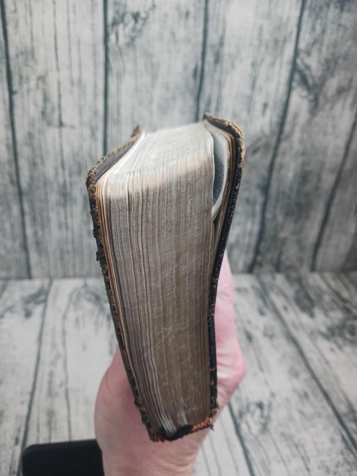 Holy Bible: Authorized King James Version (Zondervan, Concordance, Red) Pre-Own