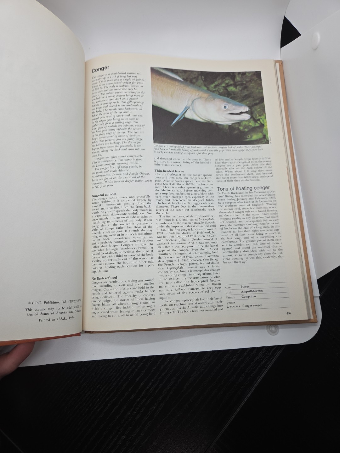 Vintage Funk and & Wagnalls Wildlife Encyclopedia Volume 5 Hardcover 1974