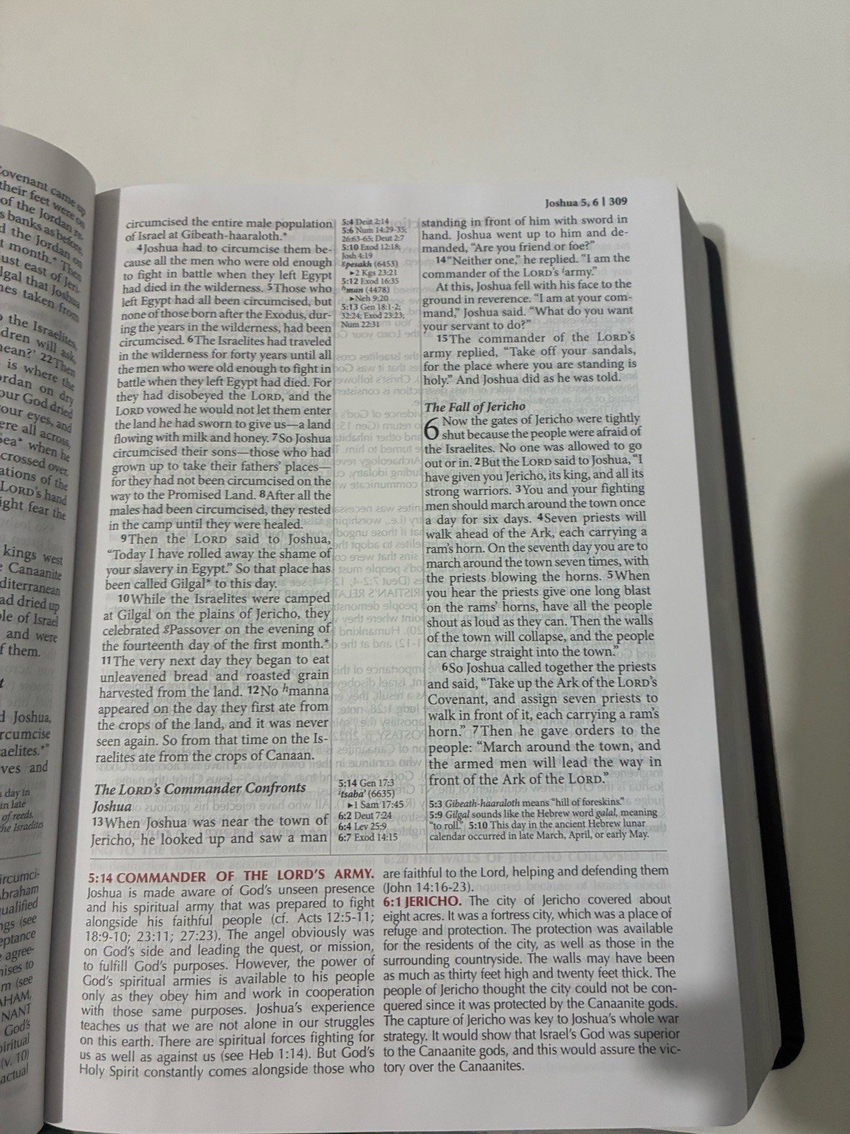 FIRE BIBLE New living Translation Chi Alpha Edition Leather Soft Cover
