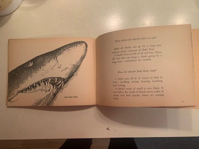Sharks book by Ann McGovern. 47 pages. Scholastic Book services. Copyright 1976