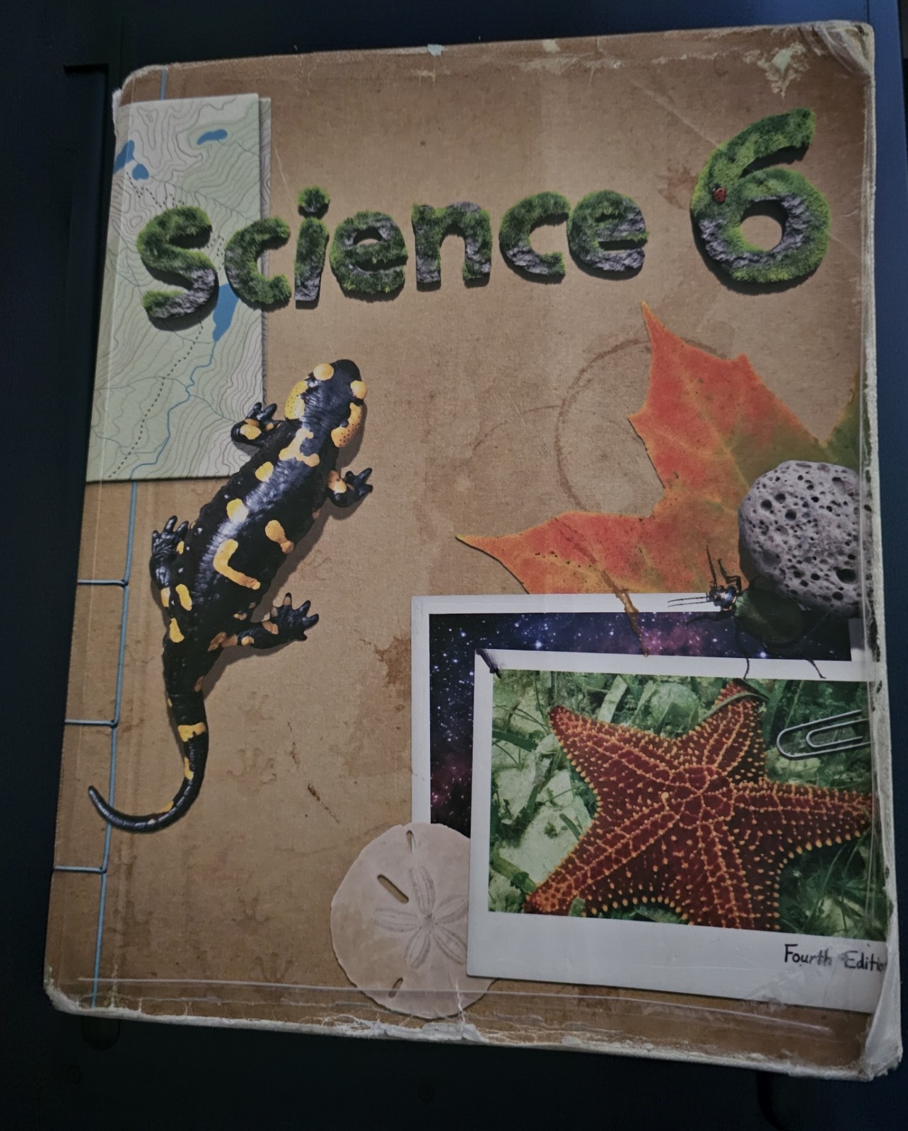 BJU Press General Science 6 6th Grade 4th Edition Student Textbook ONLY