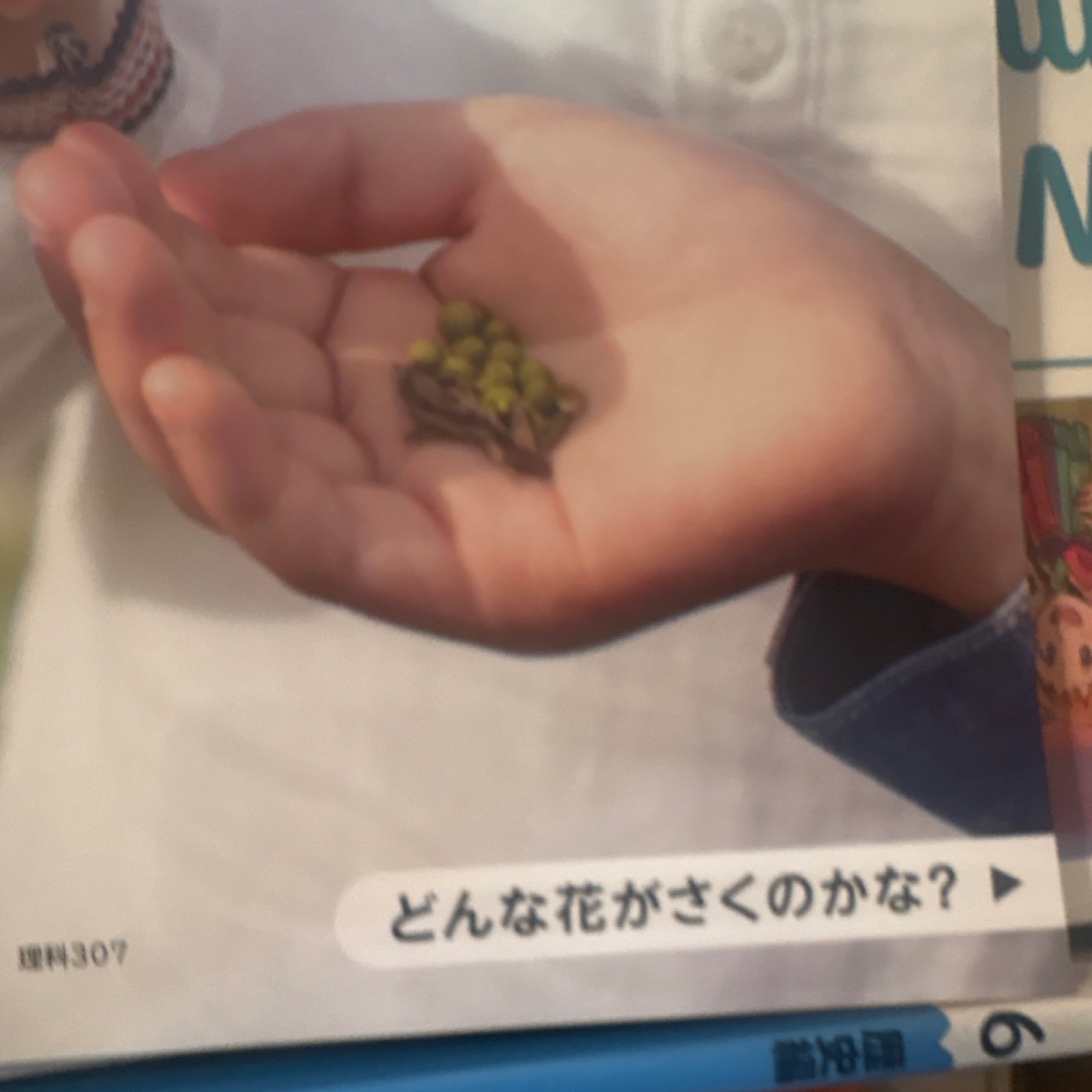 東京書籍 新しい理科 3 Japanese Science Textbook Grade 3 Paperback