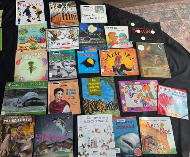 48 SPANISH CHILDREN PICTURE BOOK LOT teacher set kids K 1 2 3 Award fiction