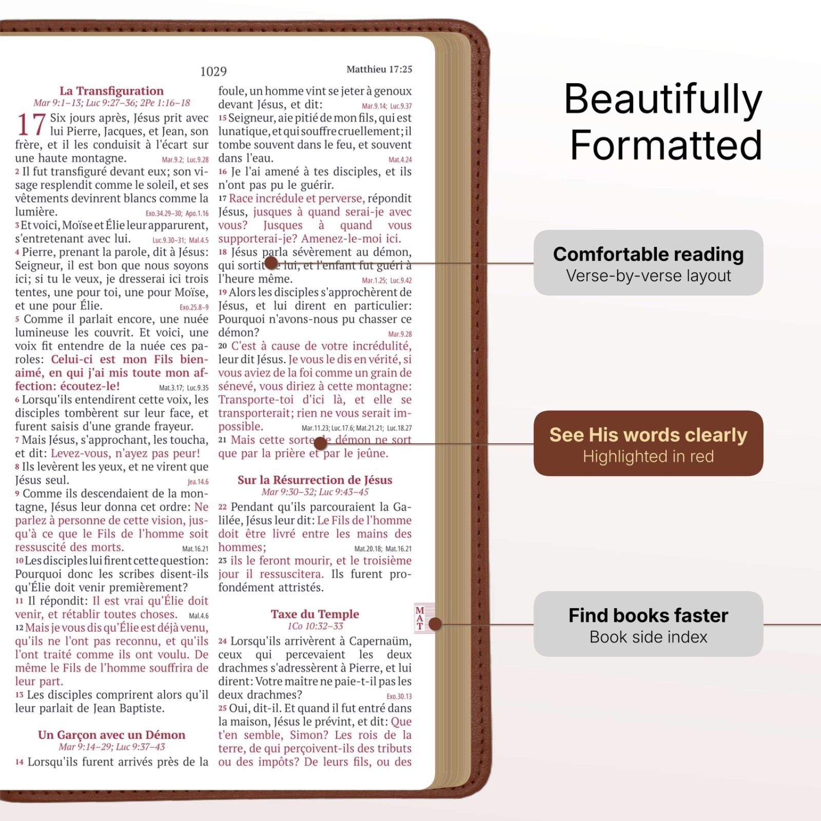 Louis Segond French Bible Medium Print – Compact LSG Bible Marron by SP