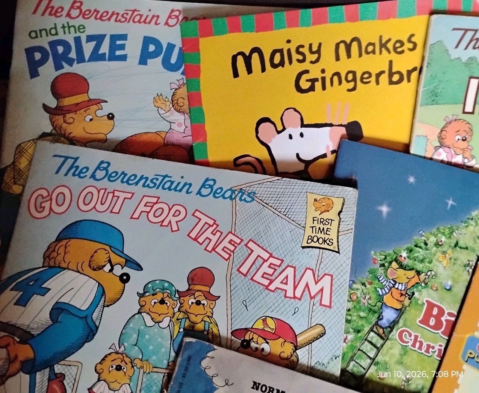 Lot of 8 Children’s Picture Books (Berenstiain Bears, Clifford,etc)