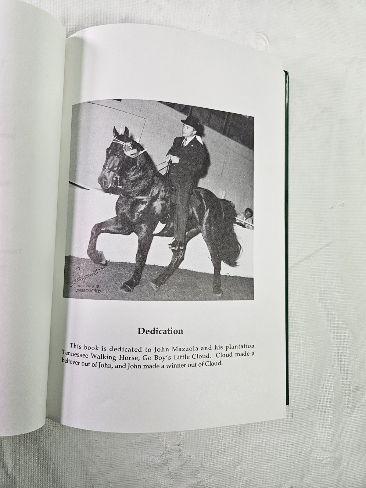 The Plantation Tennessee Walking Horse Guide HCDJ Vickie Mazzola 1992 Show Train