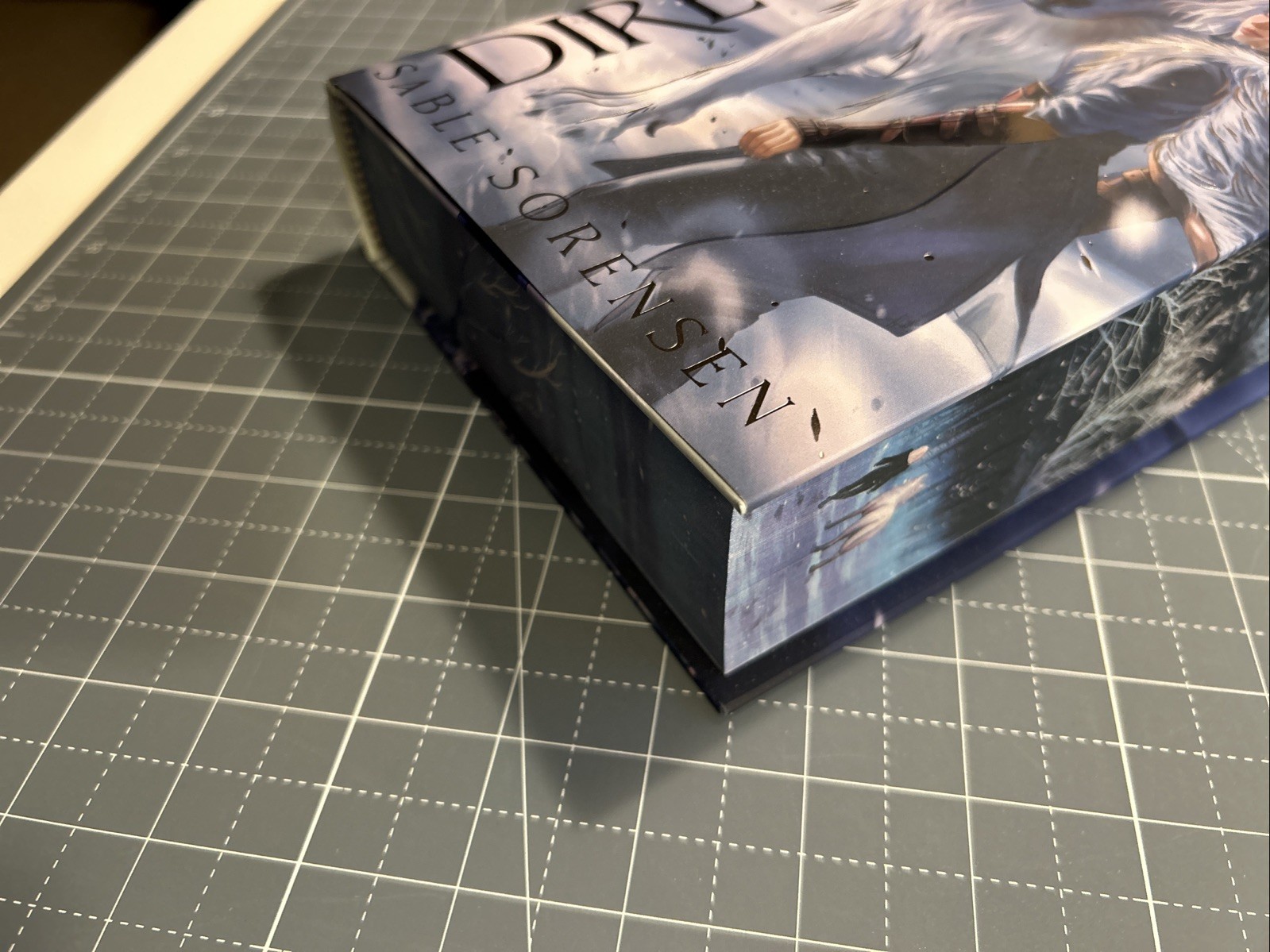 Dire Bound – Sable Sorensen FairyLoot Exclusive Edition – Hardcover Unsigned NEW