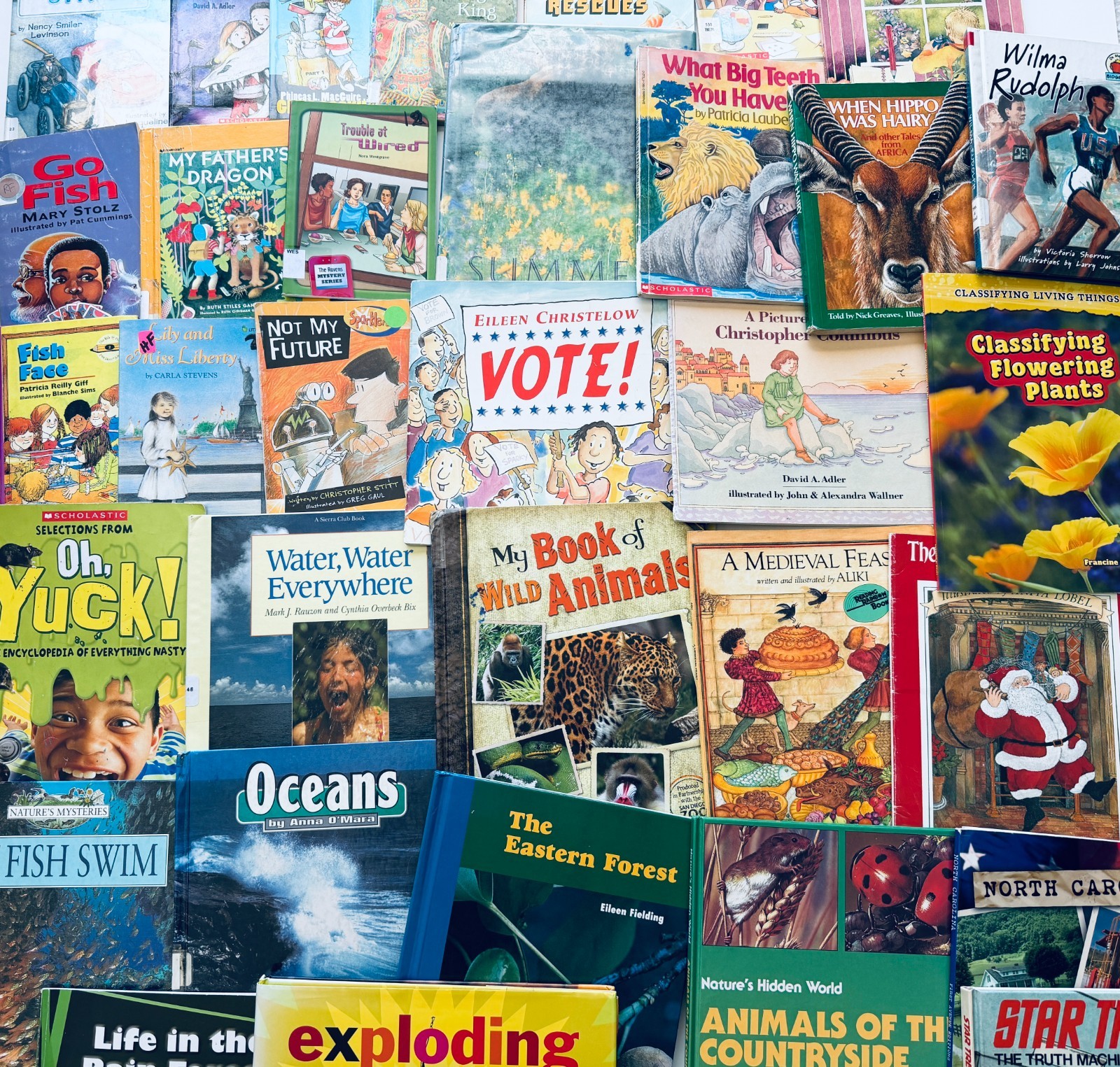 Lot of 10 Random Children’s Books, Grades 2-3, Homeschool Library/Teacher Librar