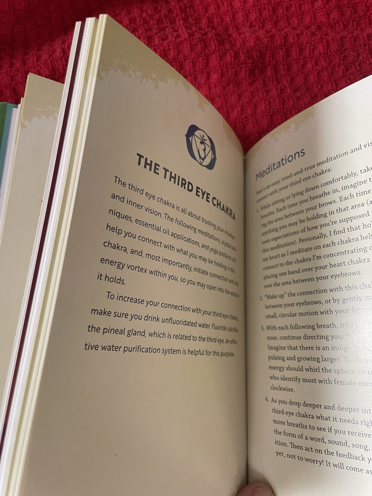 Chakra Healing: A Beginner’s Guide to Self-Healing Margarita Alcantara Hardcover