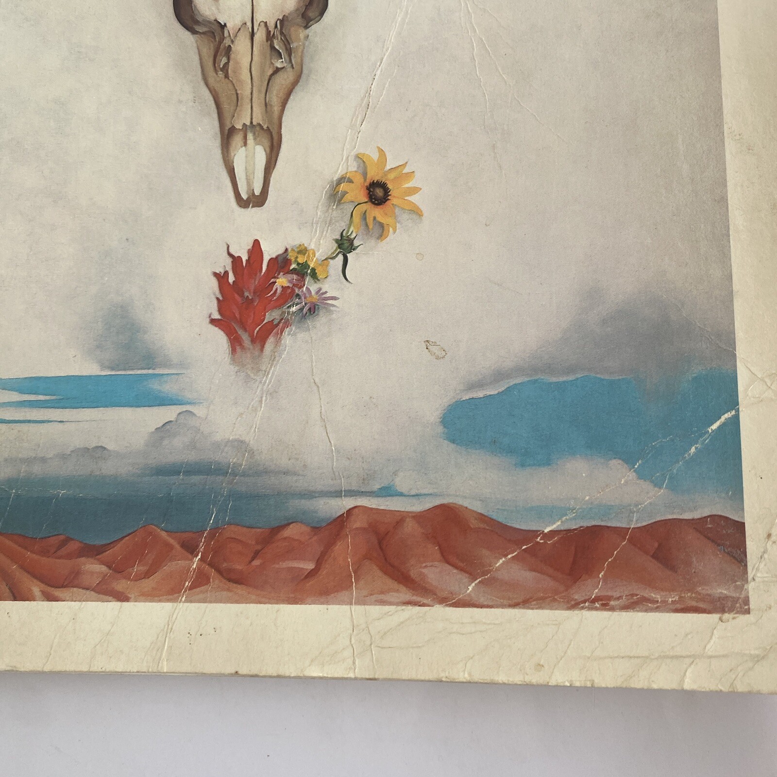 Georgia O’Keeffe (1985 Trade Paperback) Huge 10.5×14” Coffee Table CREASED