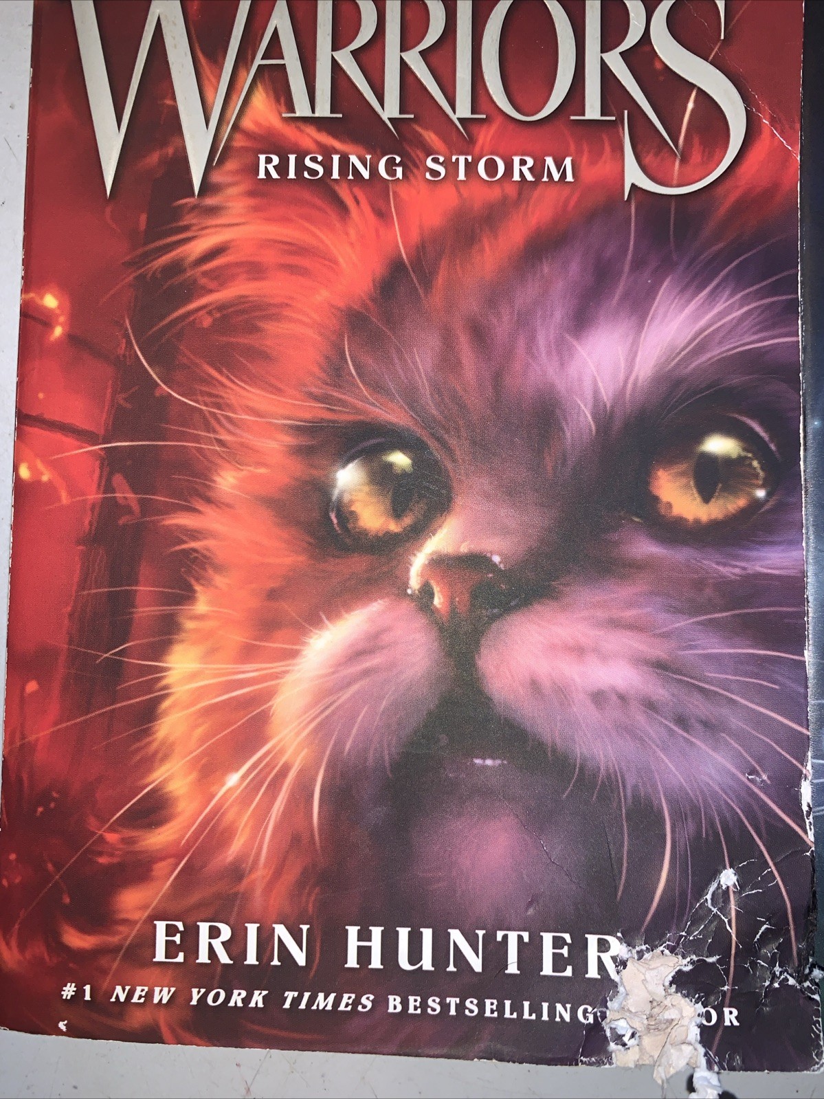 Warriors By Erin Hunter #2,3,4,5 Lot Of Paperback Books 1 W Damage See Pics