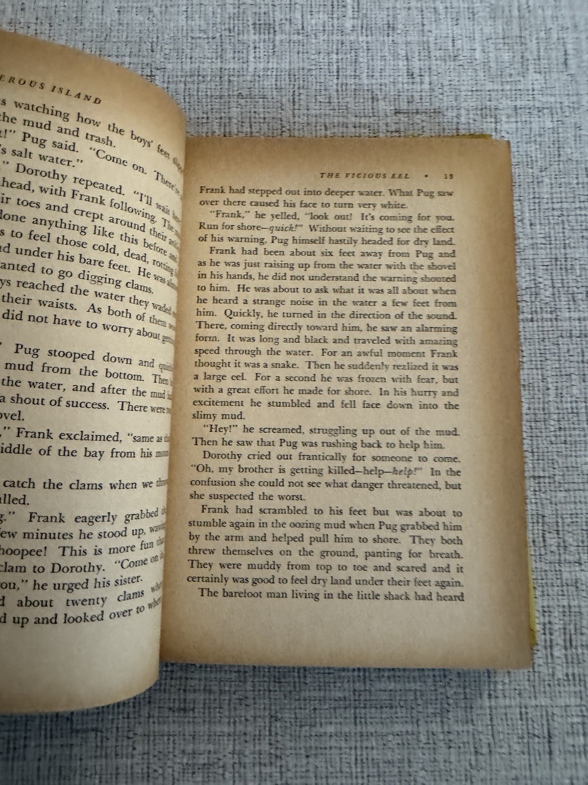 Dangerous Island Helen Mather-Smith Mindlin 1956 Weekly Reader HC