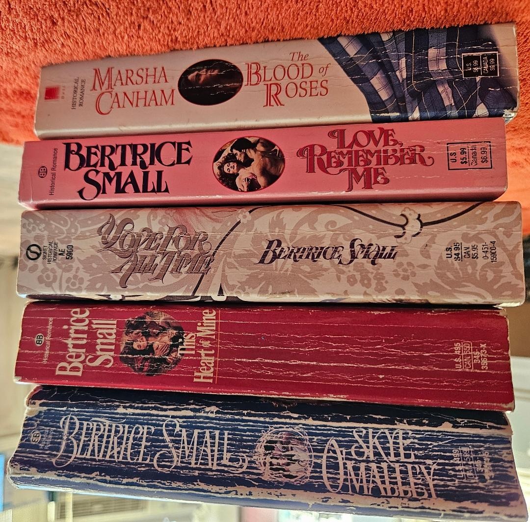 Used Romance Books – Johanna Lindsey, Bertrice Small, and other authors