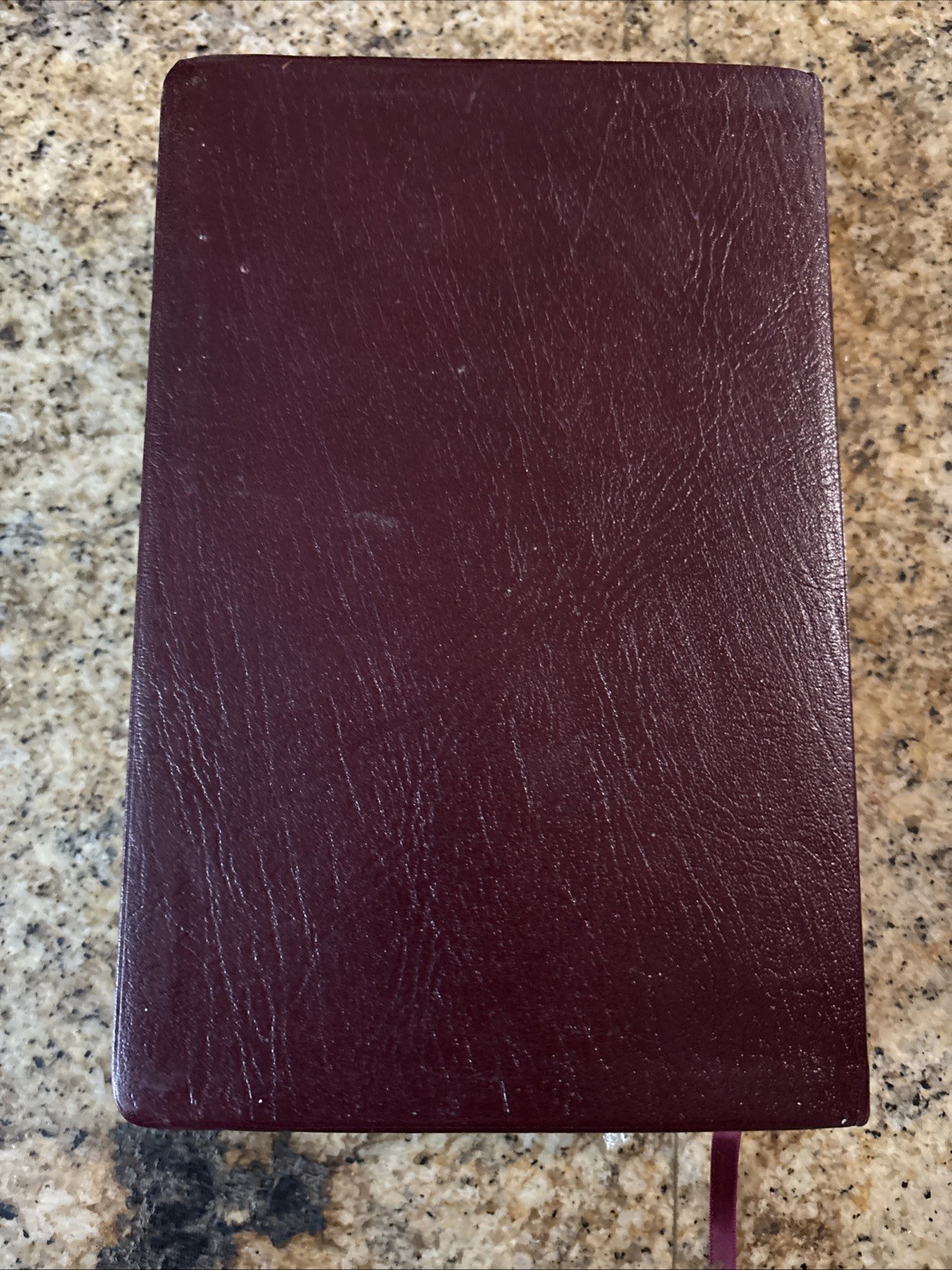 Salem Kirban Reference Bible King James Version Leather Bound AMG PUBLISHERS