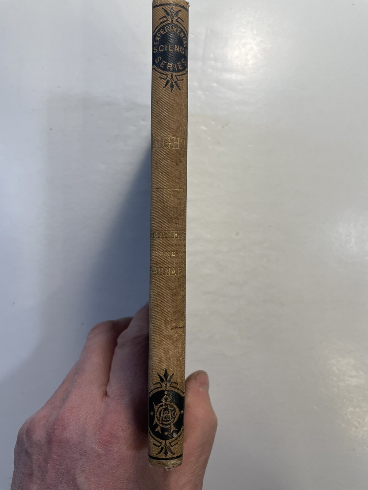 Light Mayer and Barnard D. Appleton and Company 1878 First Edition? Education