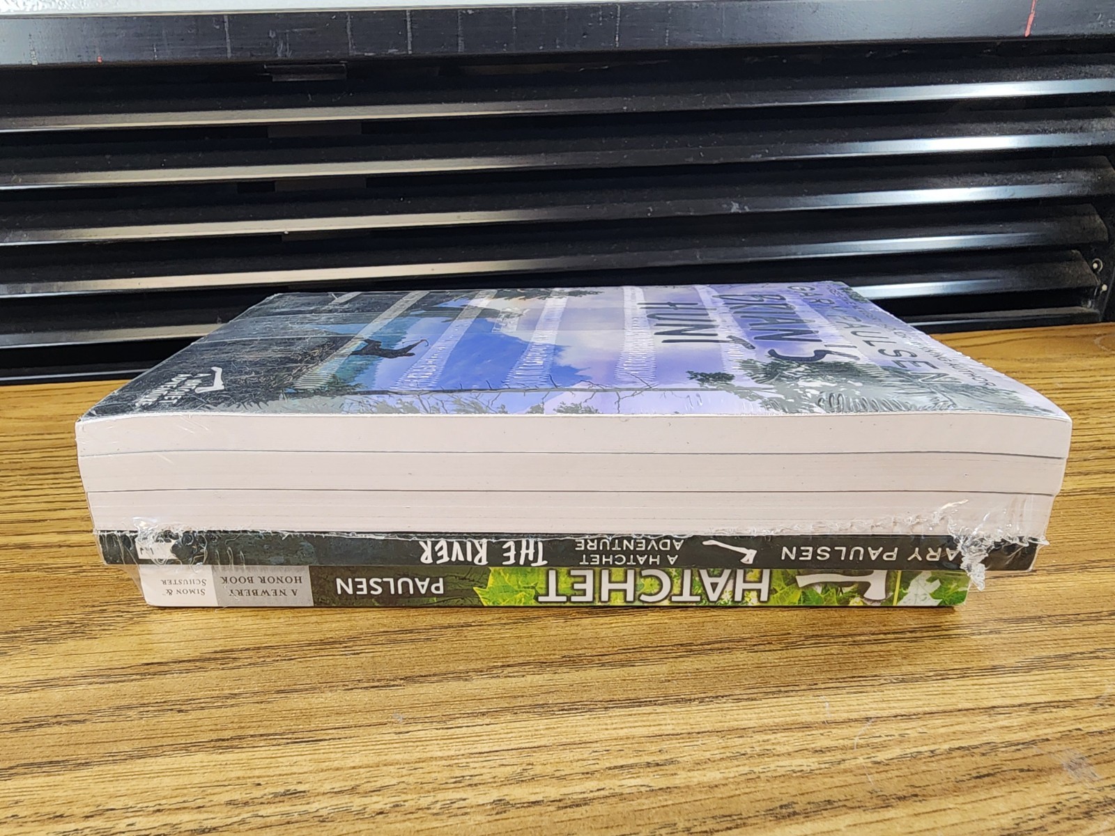 Hatchet COMPLETE Brian’s Saga Gary Paulsen Series SET Lot Books (1-5) Paperback