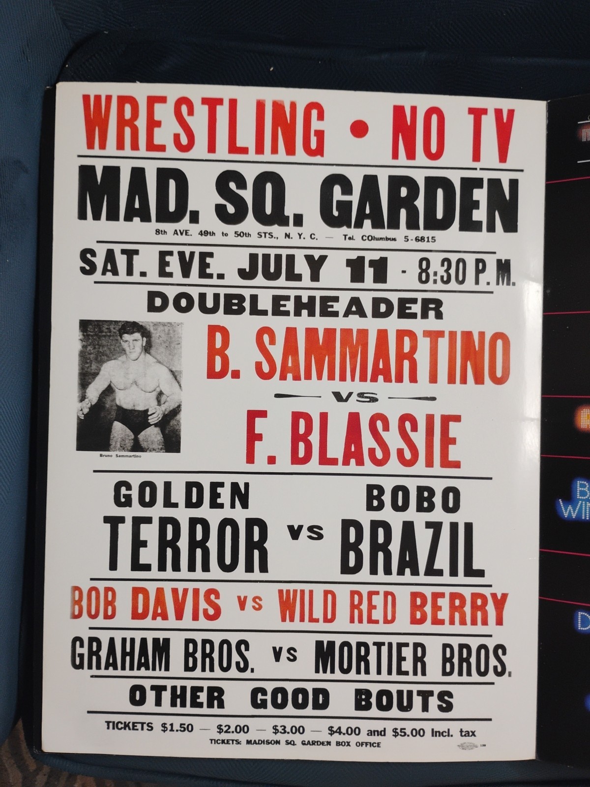 WWE: THE ULTIMATE POSTER COLLECTION (2015) Missing 1 Page (2 Posters)