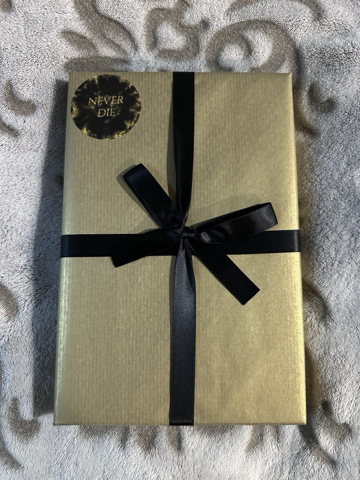 Never Die Rob J Hayes | The Broken Binding TBB Press Edition | Signed & Numbered