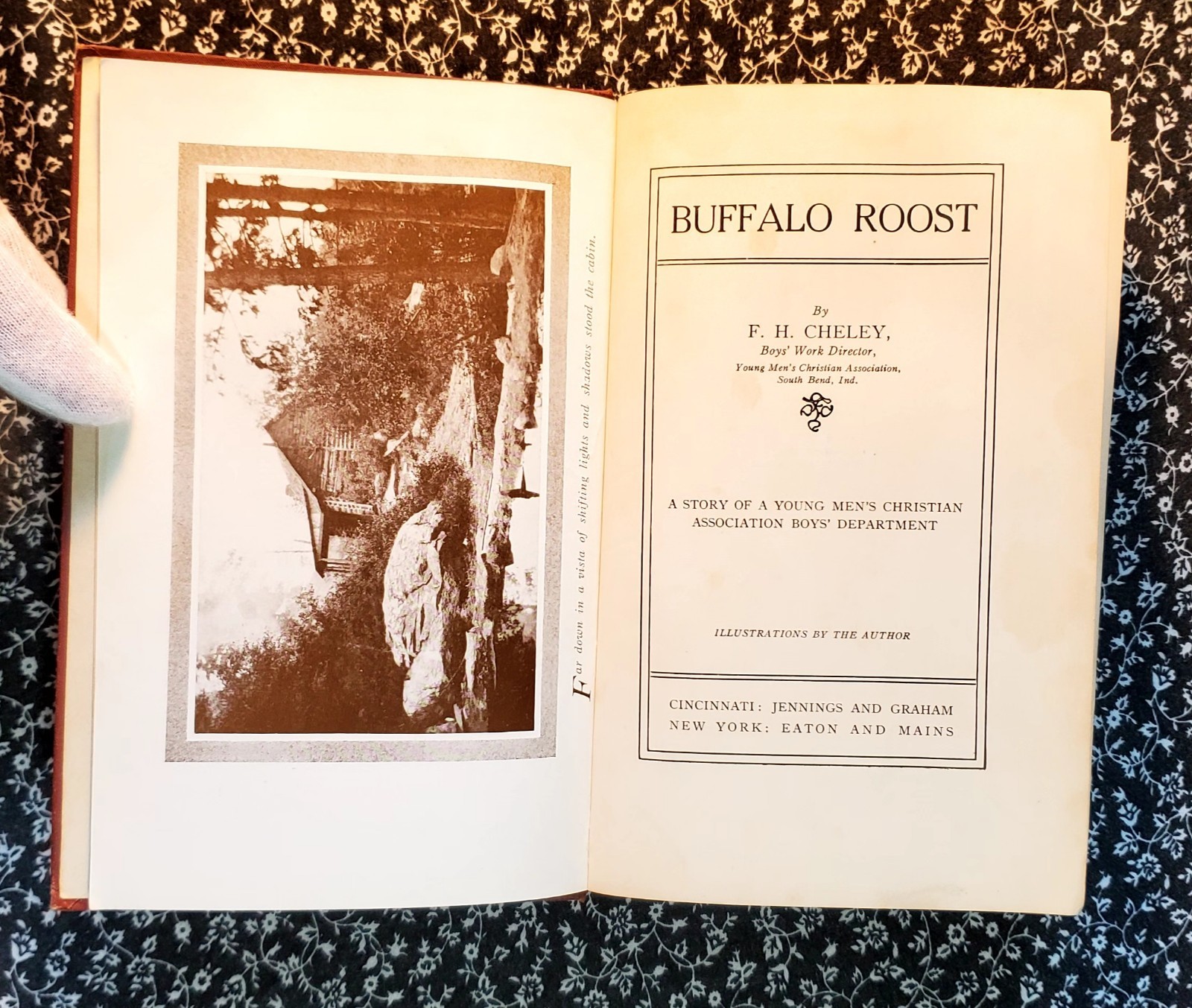 Buffalo Roost, F. H. Cheley, 1913, First Edition, Hardcover, Antique