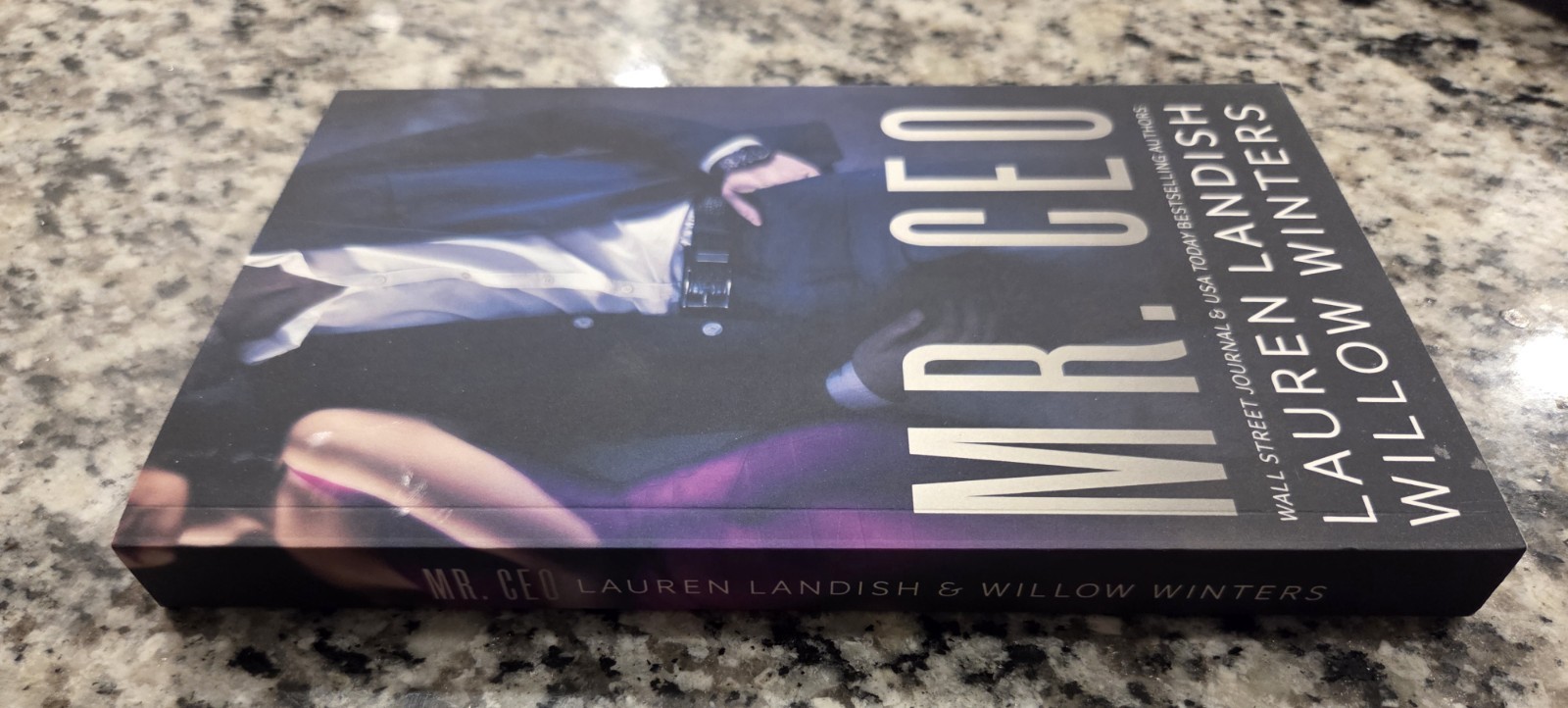 Mr. CEO Paperback Lauren Landish & Willow Winters Book