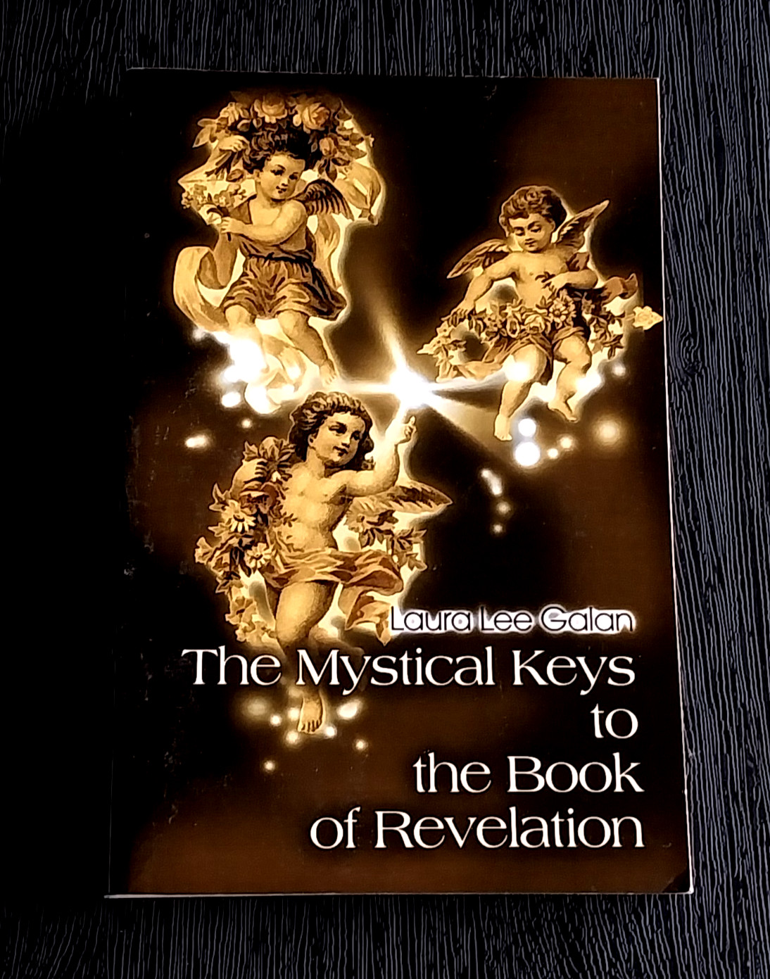 THE MYSTICAL KEYS TO THE BOOK OF REVELATION LAURA LEE GALAN PAPERBACK BOOK NEW