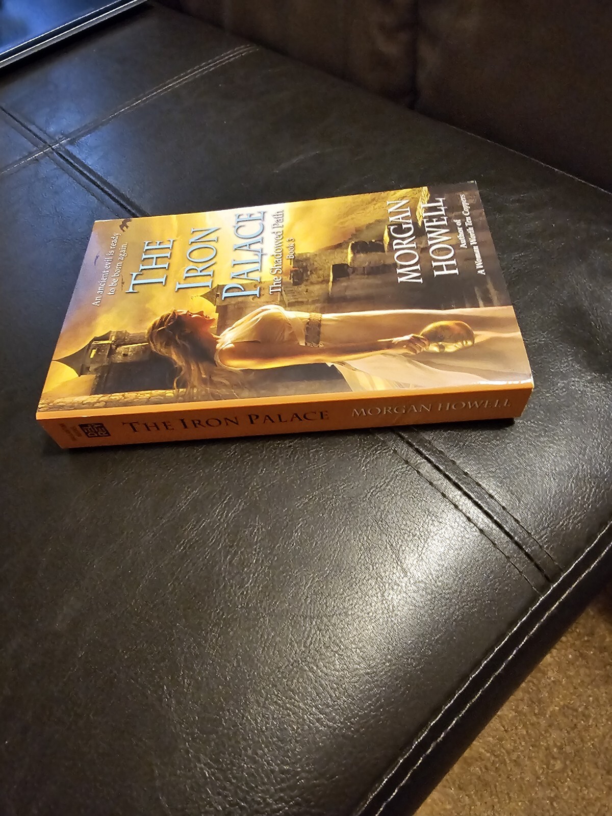 The Iron Palace The Shadowed Book # 3 Signed Paperback