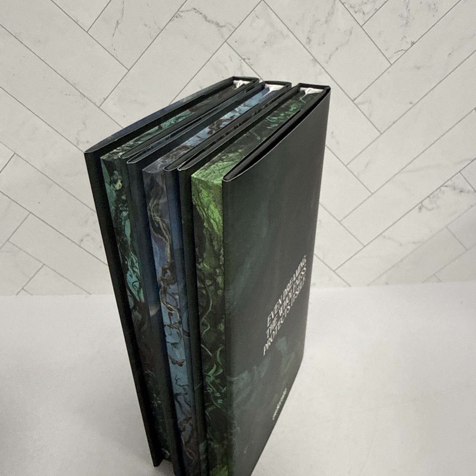 Owlcrate Special Edition Sworn Soldier Trilogy by T Kingfisher New