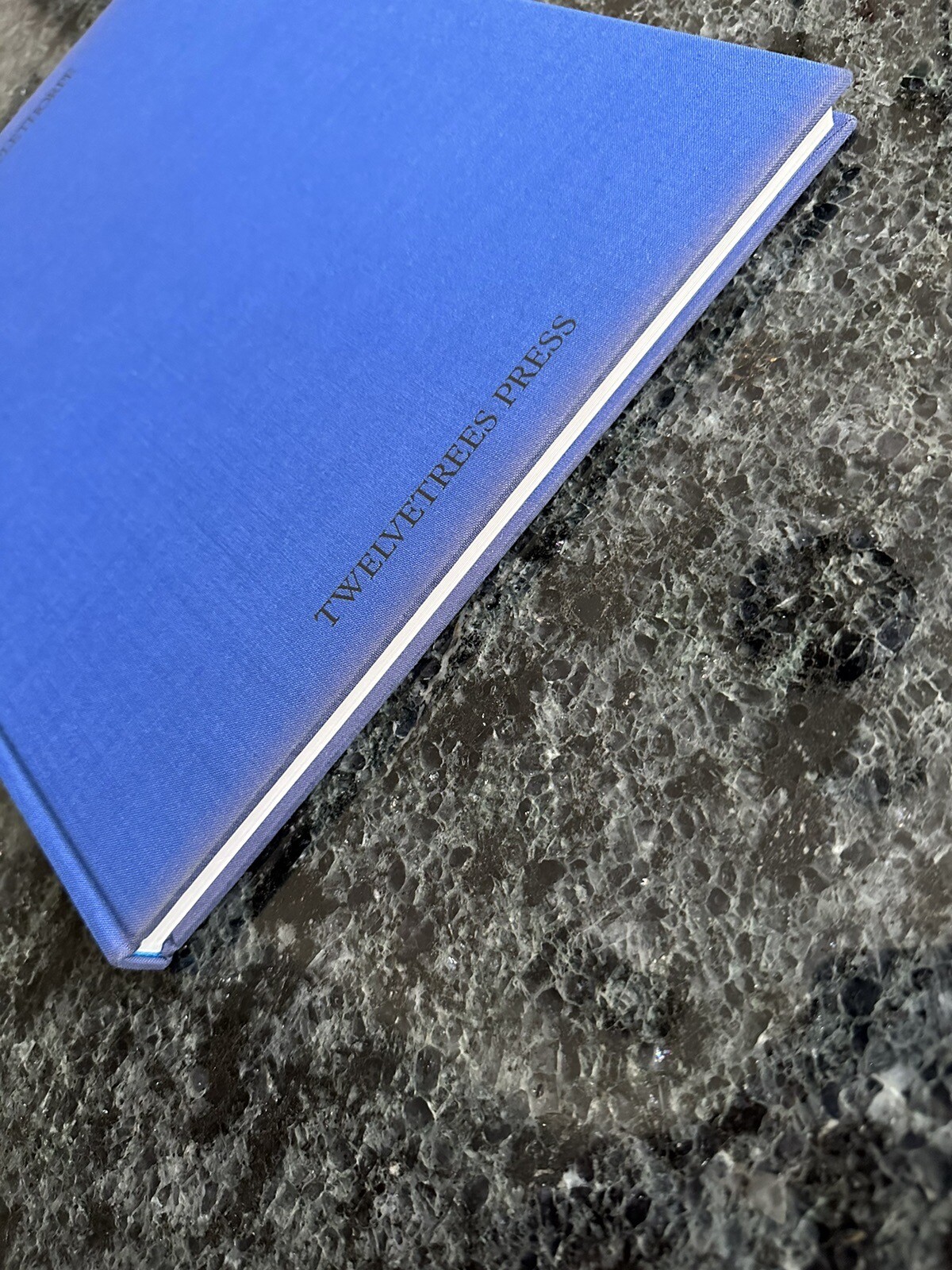 Robert Mapplethorpe Certain People by Susan Sontag 1985 Hardcover