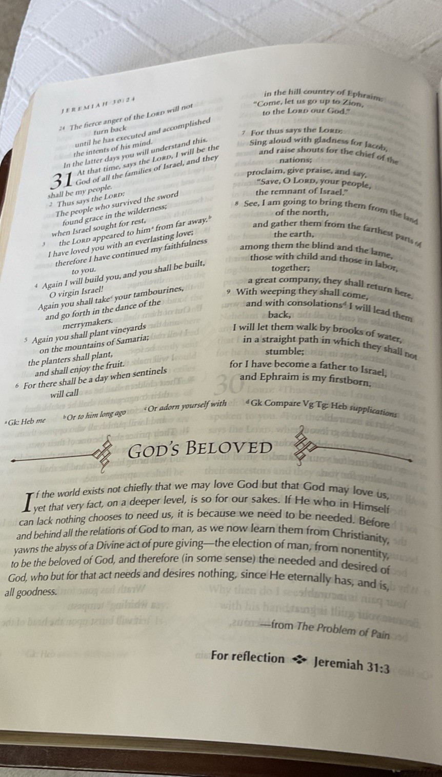 The C. S. Lewis Bible NRSV LEATHER