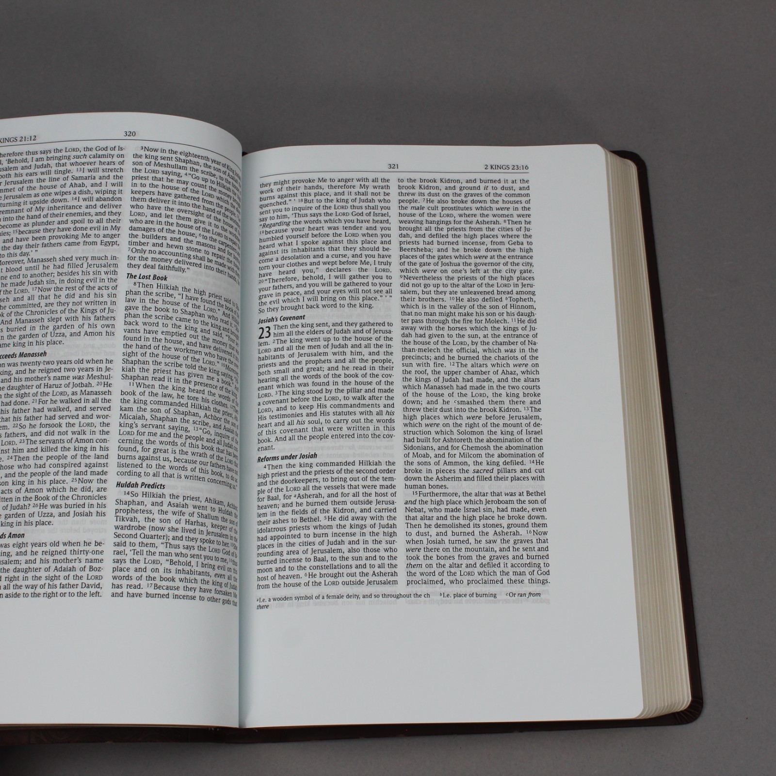 New American Standard Note-Taker’s Bible Leathersoft Vegan Leather Red Letter