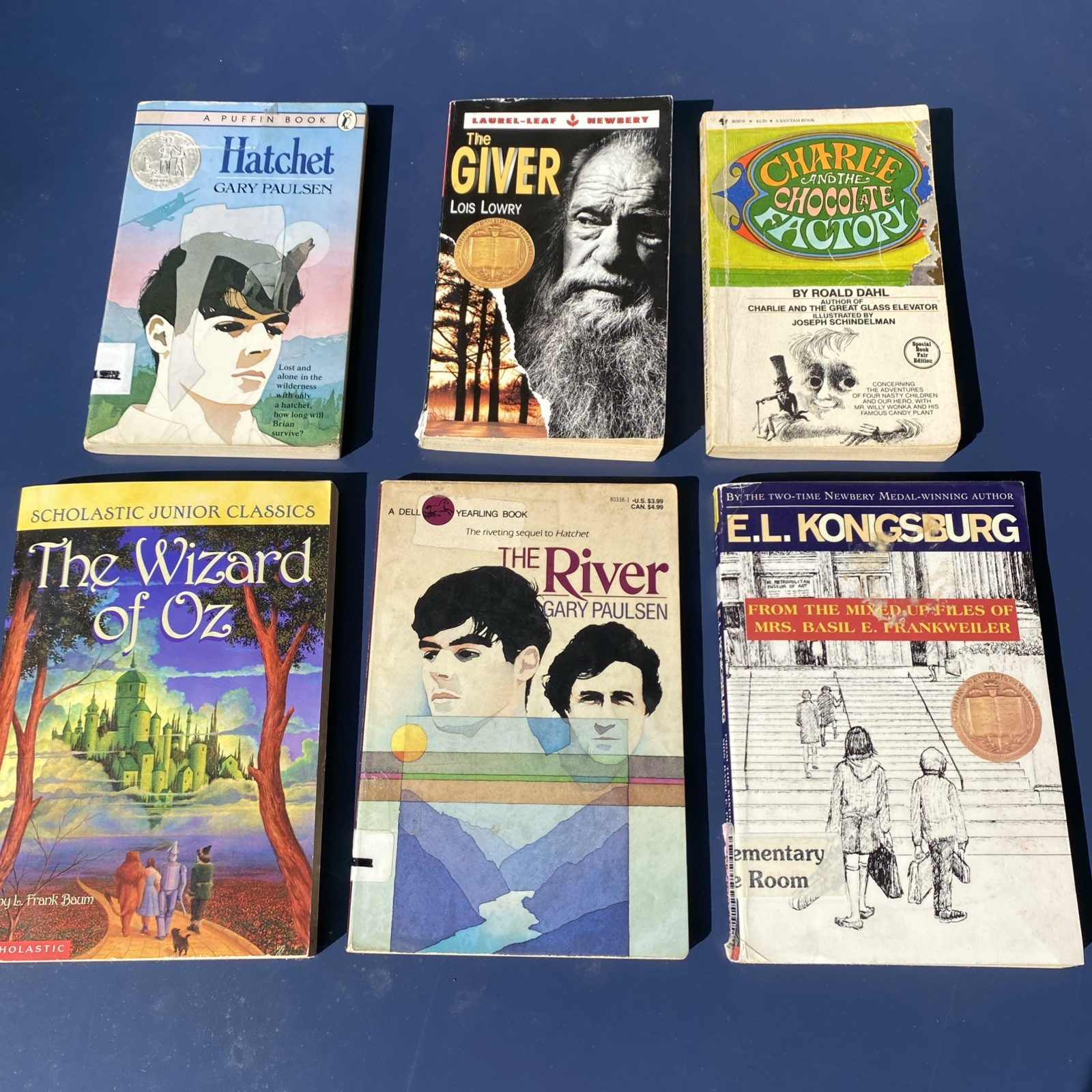 Lot of 6 Classic Young Adult Teen/Teen Fiction Books. The Giver, Hatchet, etc.