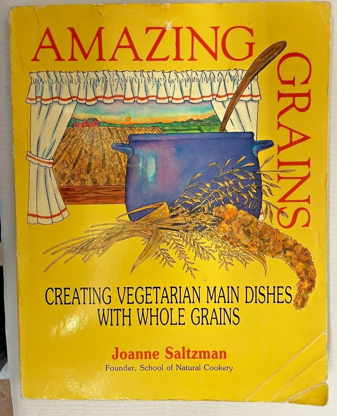 Vegetarian Grains Beans Pizza Cookbook Lot of 6 Everyday in Every Way Cooking