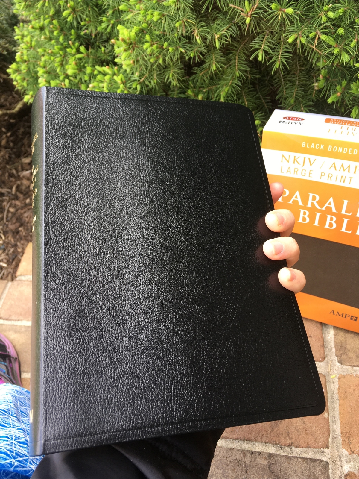 NKJV & Classic Amplified 1987 AMPC Parallel Bible – Black Bonded Leather