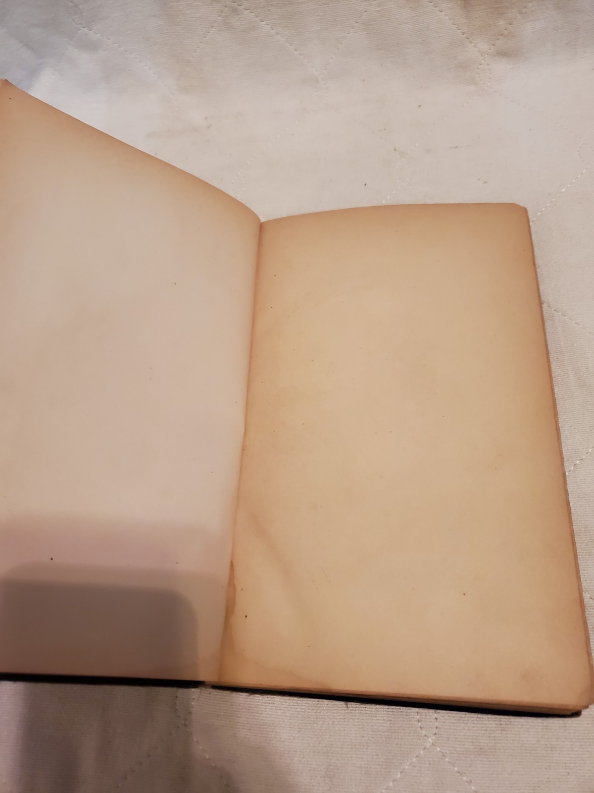 A Daughter of Bohemia Christian Reid 1874 A Novel Illustrated D. Appleton And Co