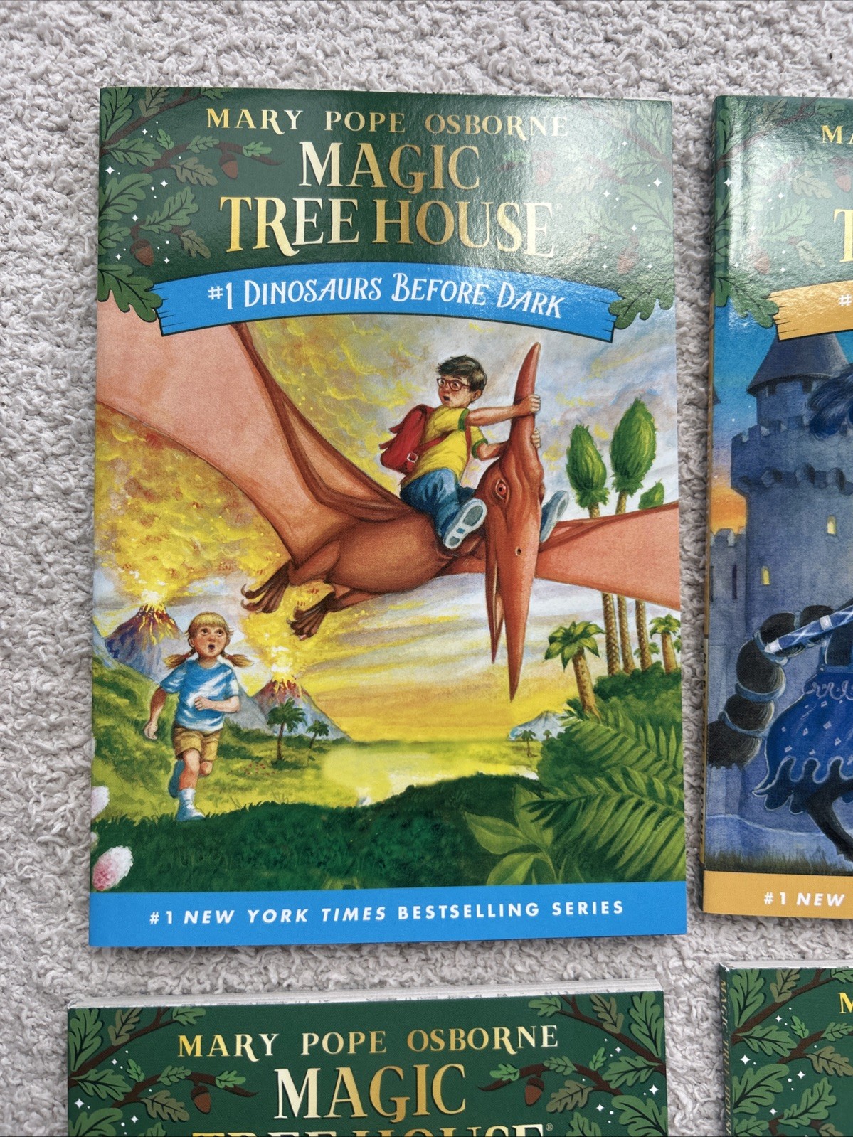 Magic Tree House Books 1-4 Boxed Set Vols. 1-4. Includes Magic Treehouse Poster!