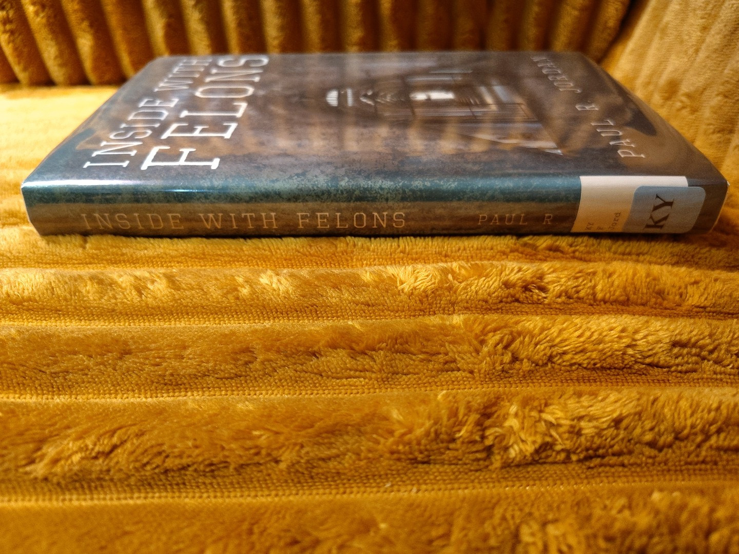 Inside With Felons By Paul R Jordan
