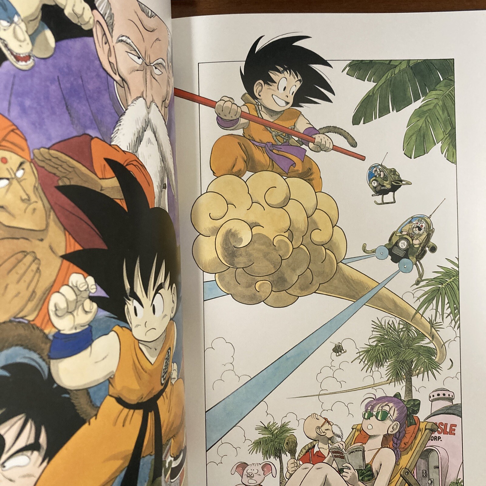 Akira Toriyama THE WORLD SPECIAL Art Book Illustration