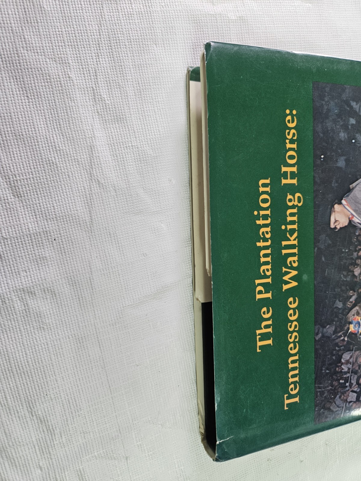 The Plantation Tennessee Walking Horse Guide HCDJ Vickie Mazzola 1992 Show Train