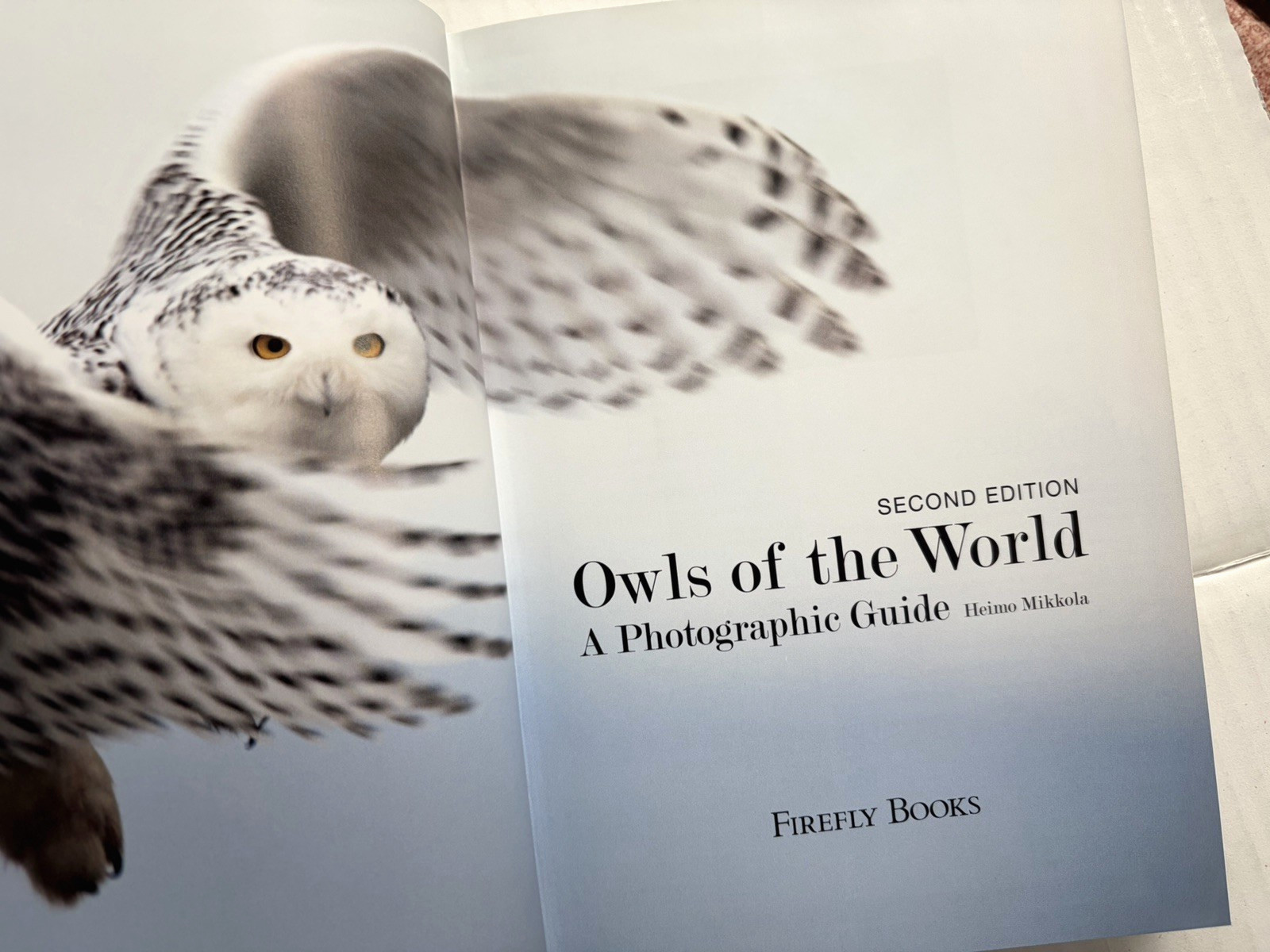 Owls of the World : A Photographic Guide Hardcover Heimo Mikkola