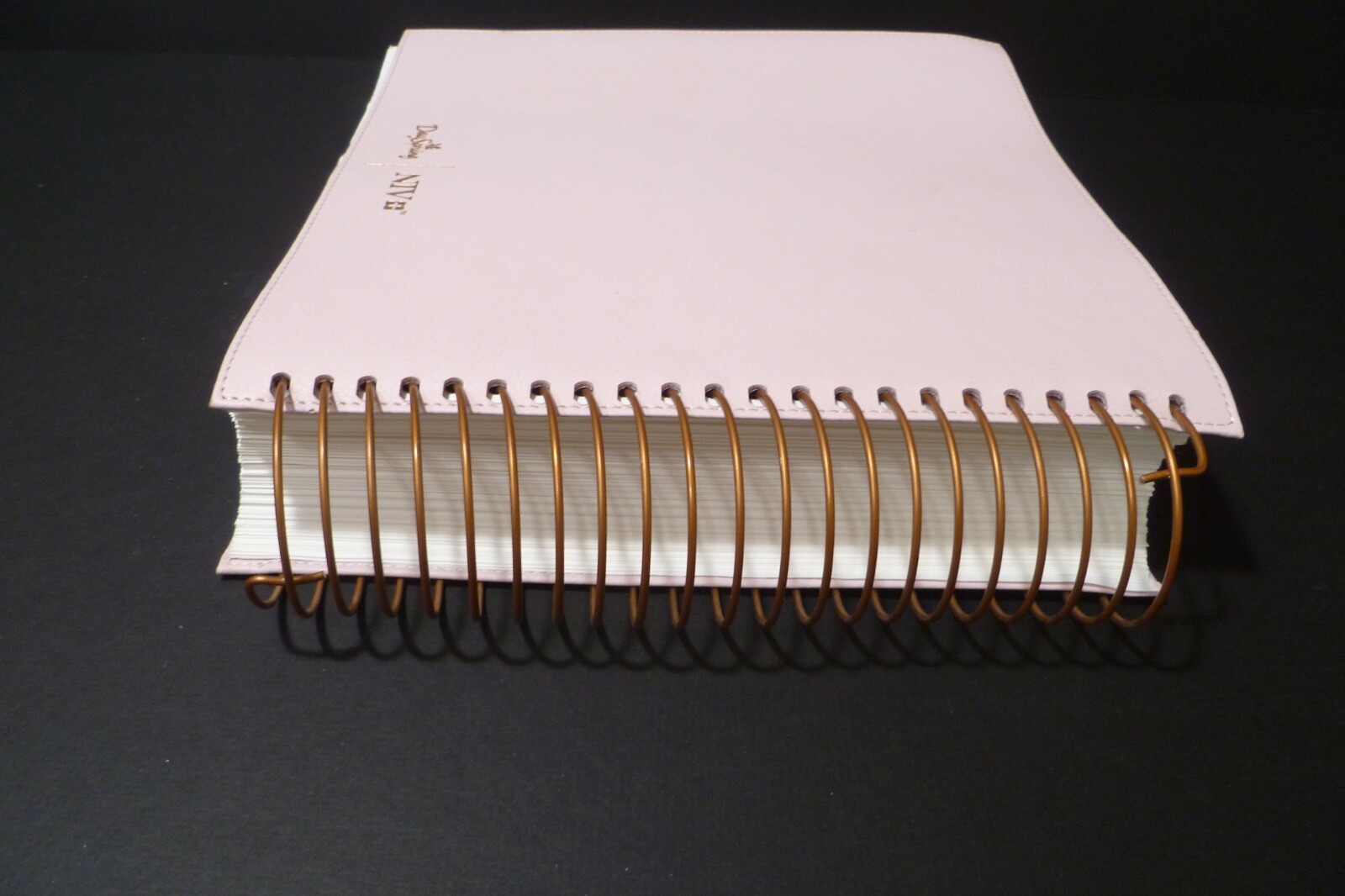 Illustrating Bible NIV Pink by Dayspring (2020, Spiral)