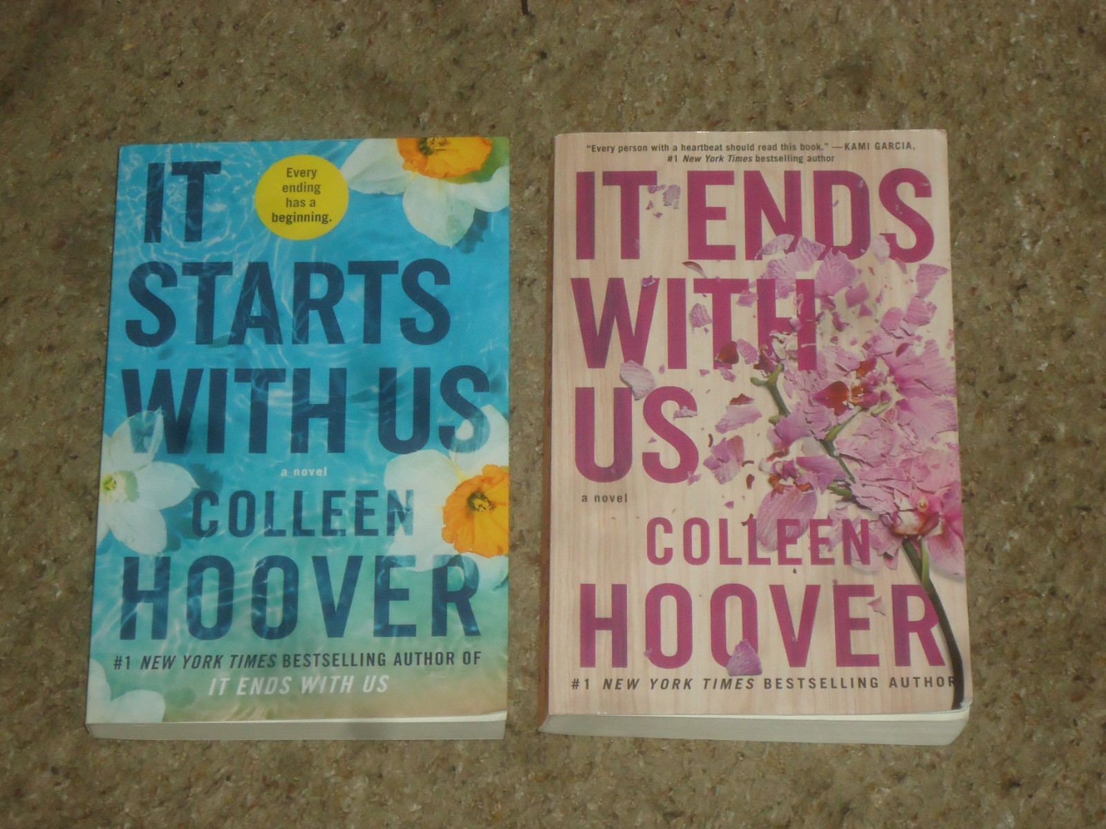 Lot 19 Colleen Hoover Novels It Ends with Us Starts Maybe Someday Hopeless Trade