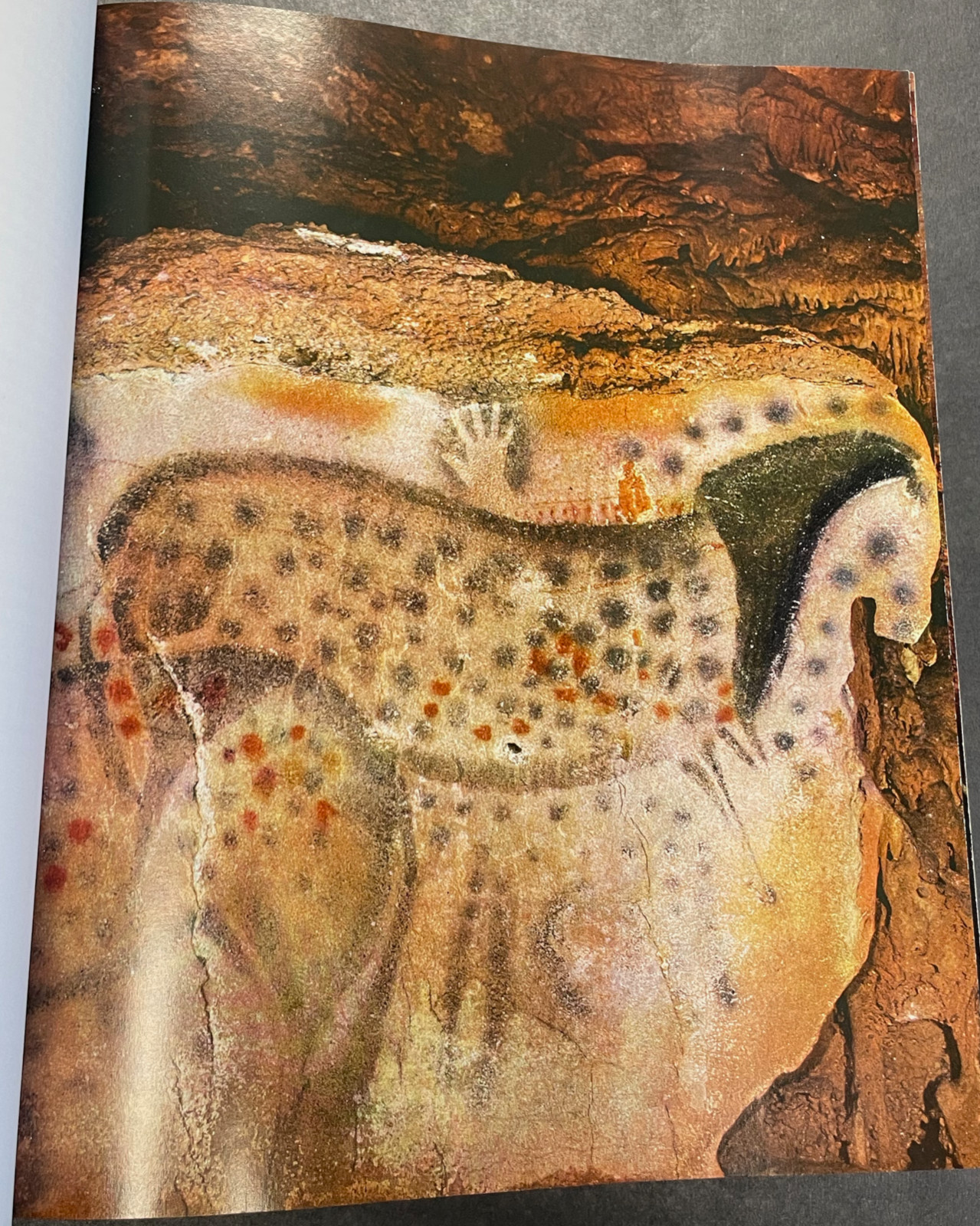 Leroi-Gourhan 1967 TREASURES OF PREHISTORIC ART Abrams Inc Hardcover Ex-Library