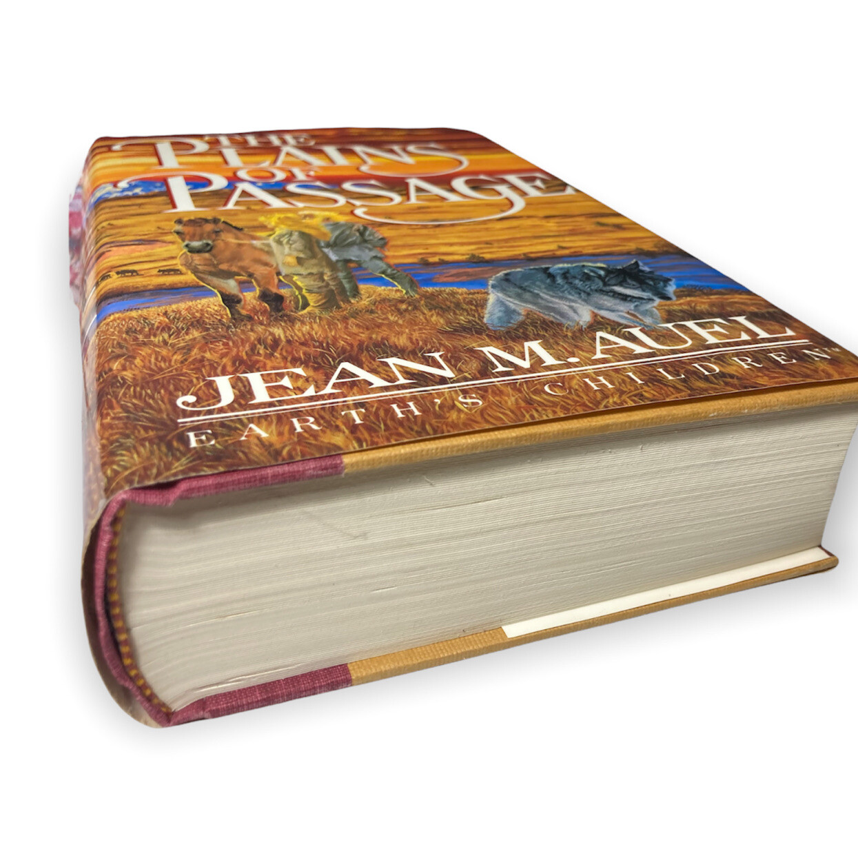 Earth’s Children Ser.: The Plains of Passage by Jean M. Auel (1990, Hardcover)