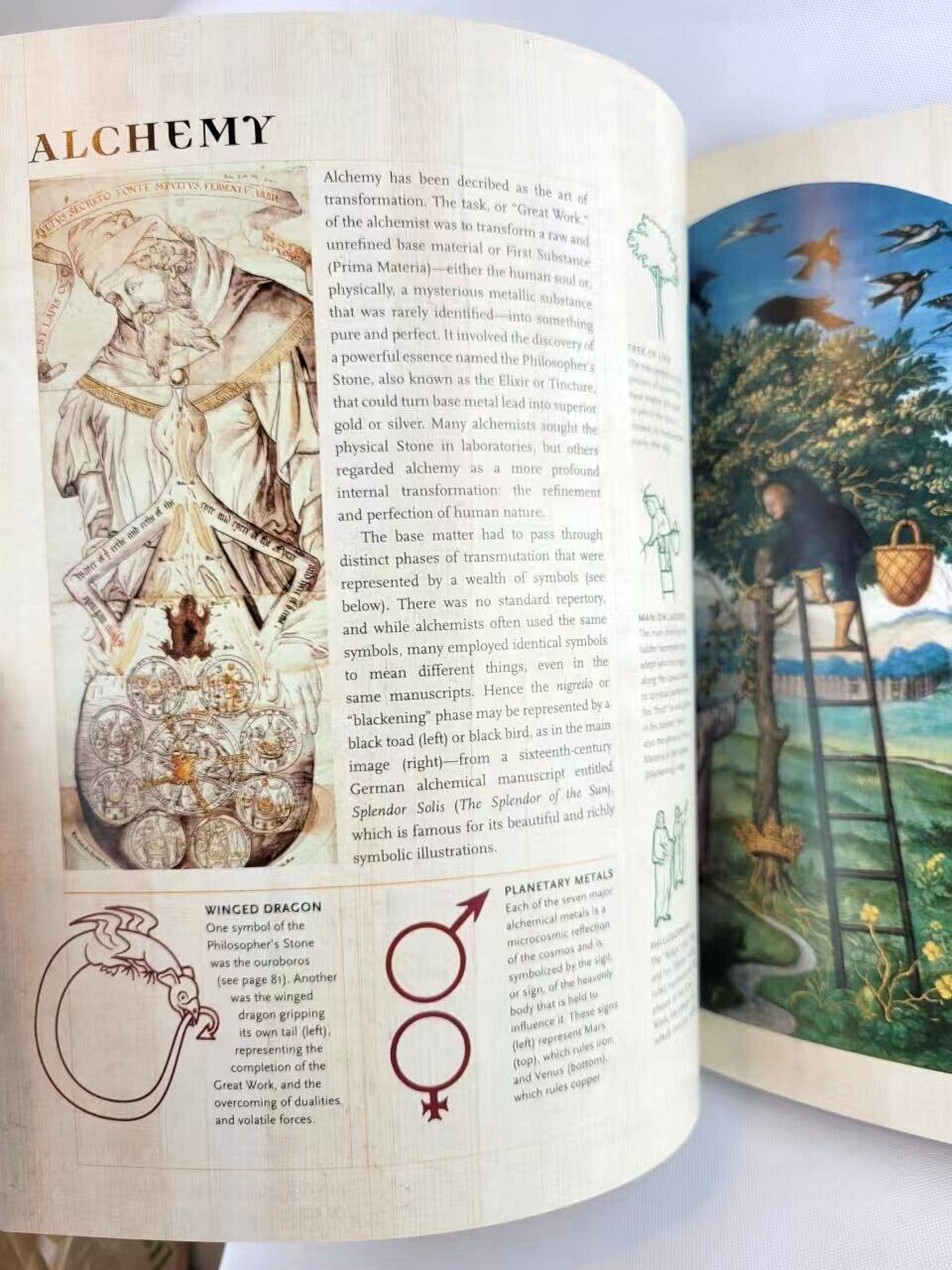 THE NEW SECRET LANGUAGE OF SYMBOLS Illustrated David Fontana Paperback Brand NEW