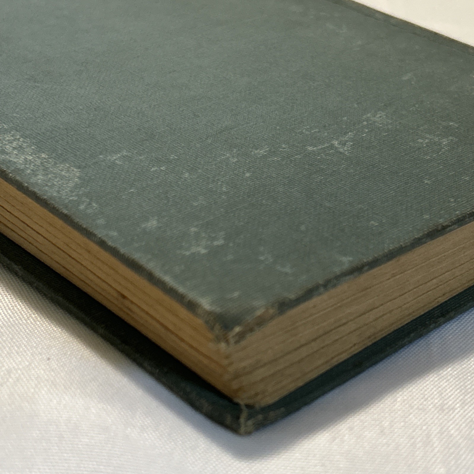The Mark of the Beast (1933) ~ Sidney Watson ~ Hardcover