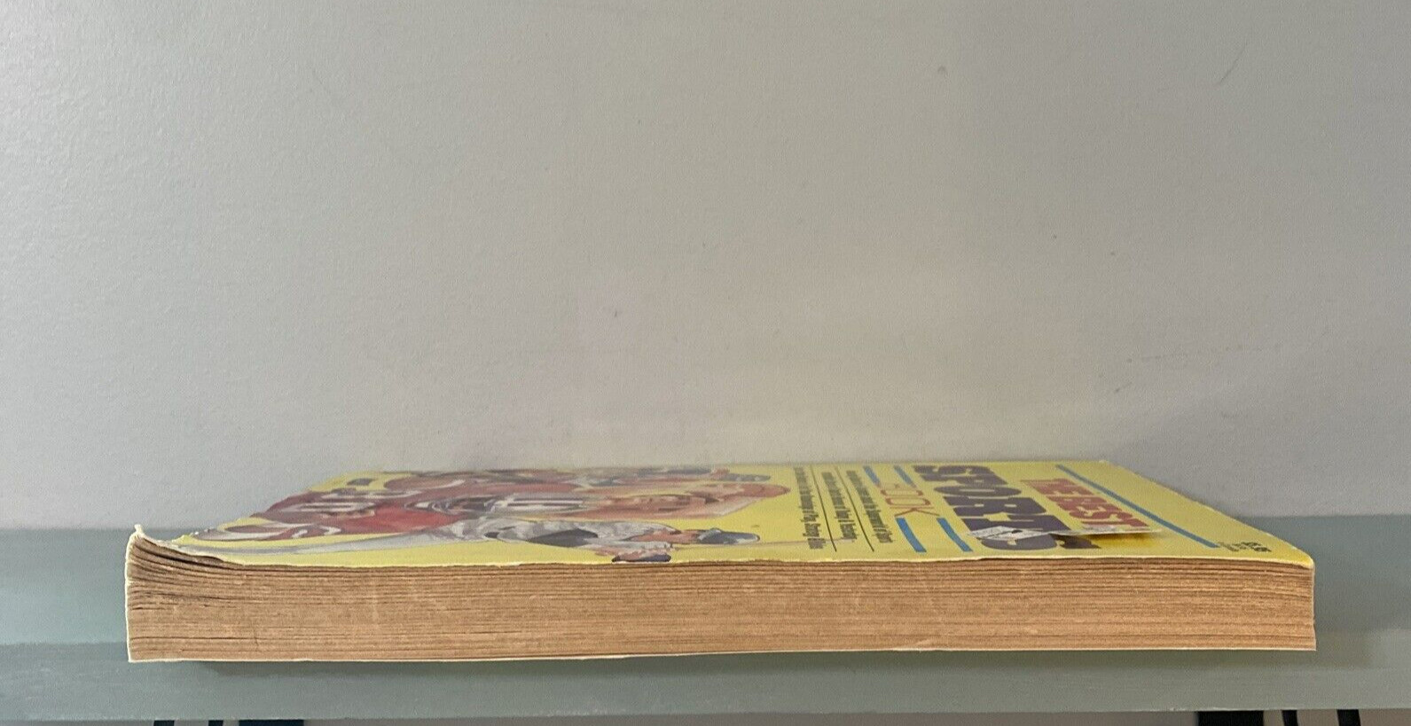 The Sports Book Softcover 8×11, 1985 with 256 Pages