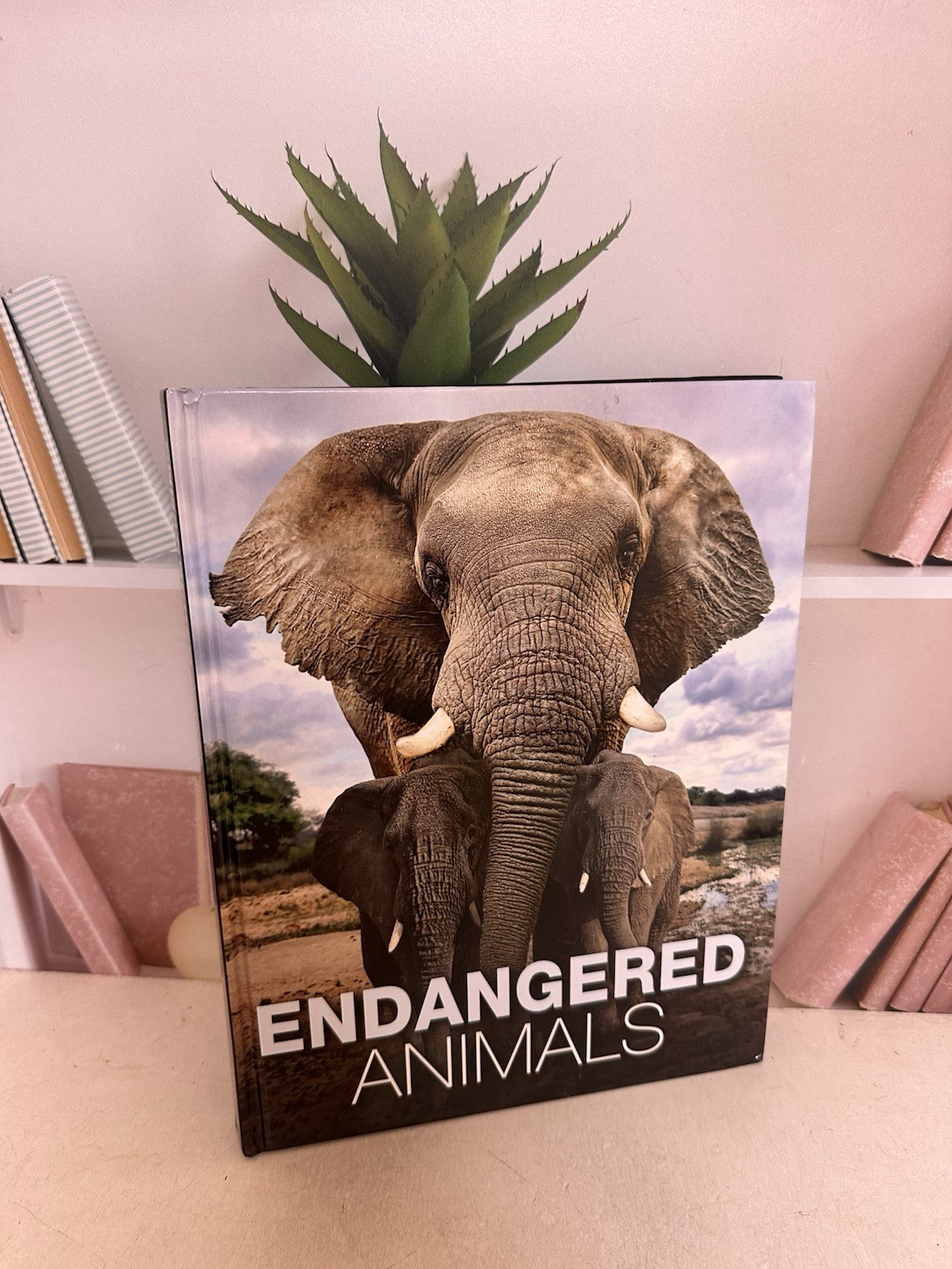 Endangered Animals by Jackson, Tom 2022 Amber Books Ltd